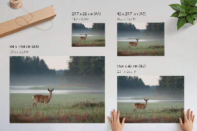 Poster para a sala Veados em meio a prados enevoados e floresta.