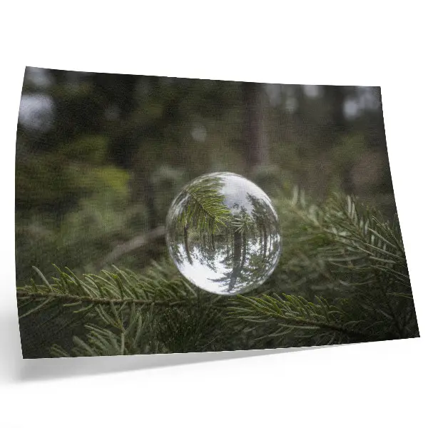 Póster mural bola de cristal sobre um fundo de galhos de pinheiro
