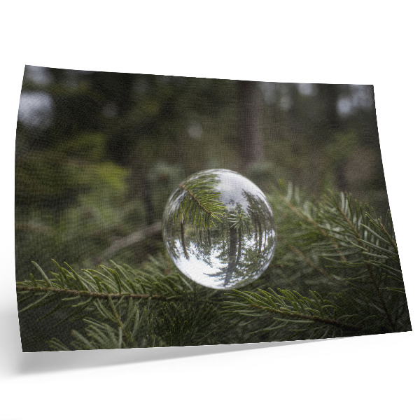 Poster mural Uma bola de cristal contra um fundo de galhos de pinheiro.
