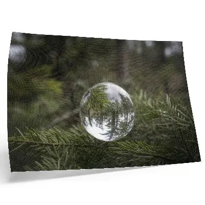 Póster mural bola de cristal sobre um fundo de galhos de pinheiro