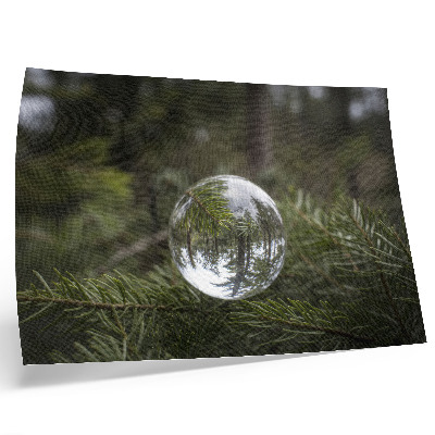 Poster mural Uma bola de cristal contra um fundo de galhos de pinheiro.