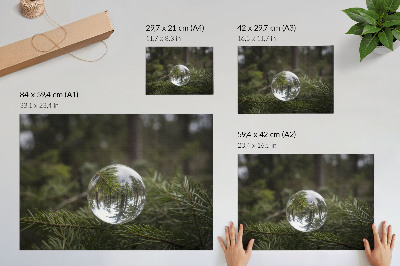 Poster mural Uma bola de cristal contra um fundo de galhos de pinheiro.