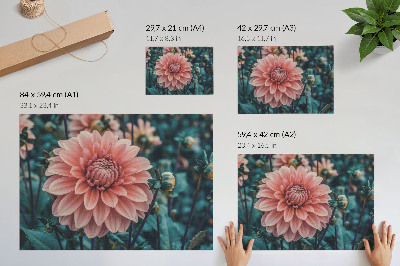 Poster em tela composição moderna de dálias rosa e folhas verdes