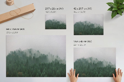 Poster mural Um panorama enevoado da floresta repleta de verde e cinza.
