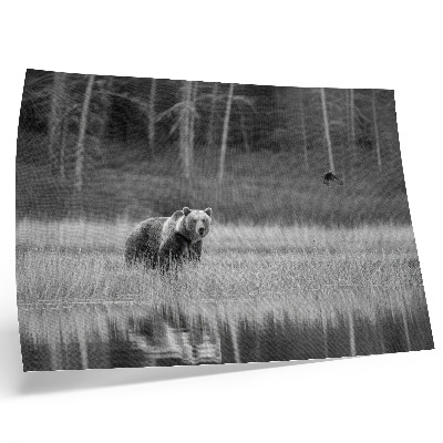 Poster Urso à beira da água, atmosfera em preto e branco