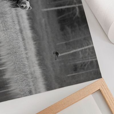 Poster Urso à beira da água, atmosfera em preto e branco
