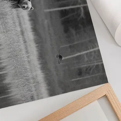 Poster urso à beira da água com atmosfera em preto e branco