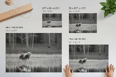 Poster urso à beira da água com atmosfera em preto e branco