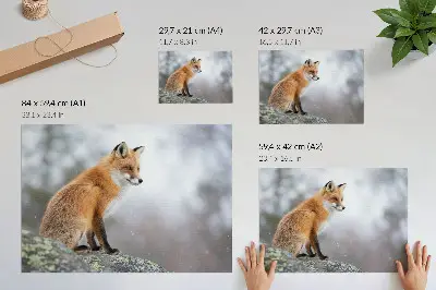 Poster para sala Raposa em paisagem invernal arte com serena paz da natureza