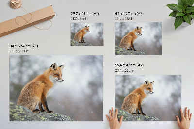 Poster para a sala Raposa na paisagem invernal, serena paz da natureza