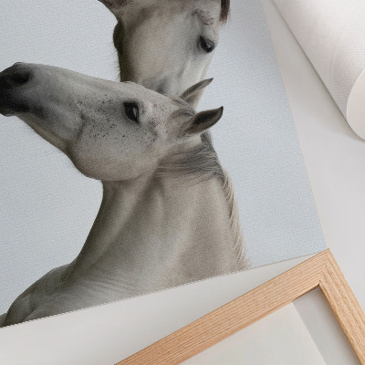 Poster Dois cavalos em harmonia, cinza e branco.