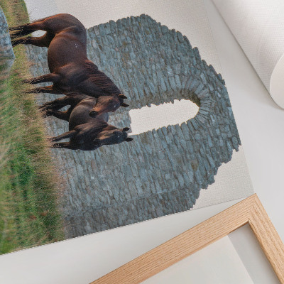Poster em tela O contraste entre ruínas e cavalos na vegetação.