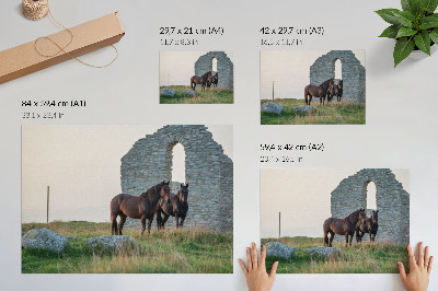 Poster em tela O contraste entre ruínas e cavalos na vegetação.