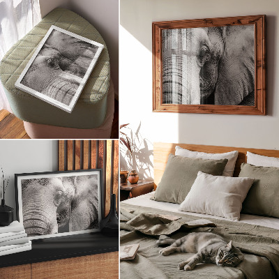 Poster para a sala Detalhes monocromáticos de elefante, minimalismo e elegância.