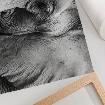 Poster para sala detalhes monocromáticos de elefante com minimalismo e elegância