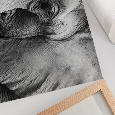 Poster para a sala Detalhes monocromáticos de elefante, minimalismo e elegância.
