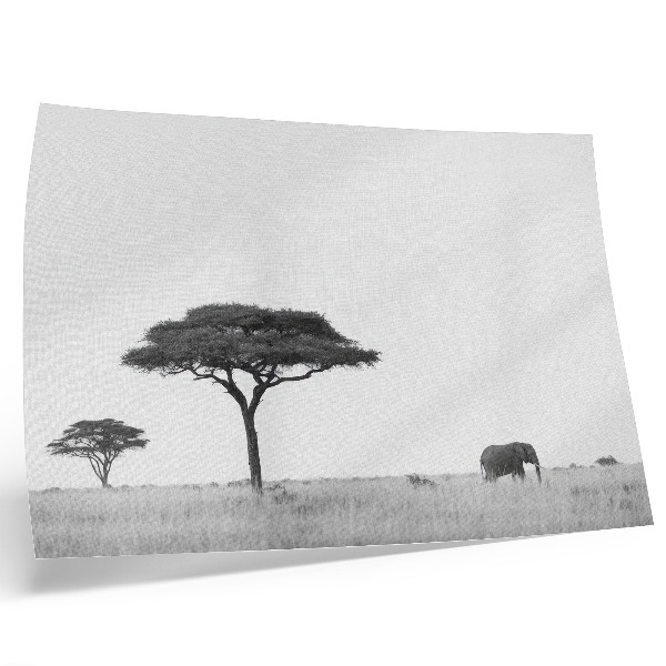 Poster mural Elefantes e acácias na savana em uma escala sutil