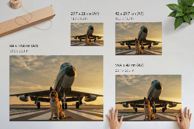 Poster Cachorro e avião ao pôr do sol - uma visão única.
