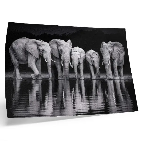 Poster em tela elefantes à beira da água com tema de paz, harmonia e reflexão
