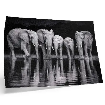 Poster em tela elefantes à beira da água com tema de paz, harmonia e reflexão