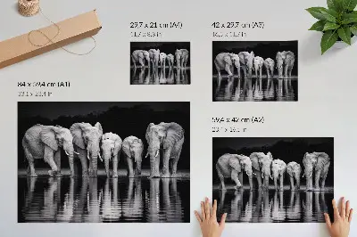 Poster em tela elefantes à beira da água com tema de paz, harmonia e reflexão