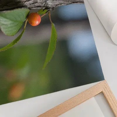 Poster fruto laranja com folhas verdes e casca marrom