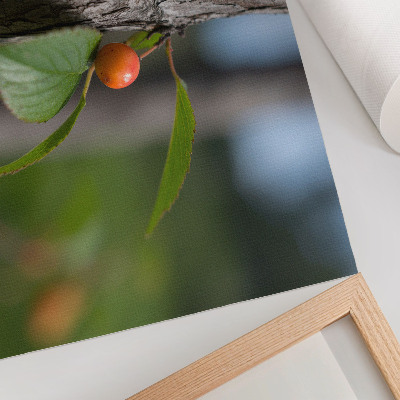 Poster Fruto laranja, folhas verdes, casca marrom