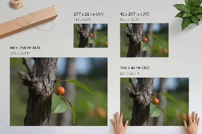 Poster fruto laranja com folhas verdes e casca marrom