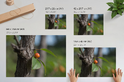 Poster Fruto laranja, folhas verdes, casca marrom