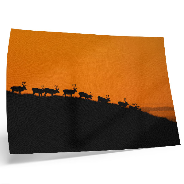 Poster Silhuetas de veados em uma colina com fundo laranja.