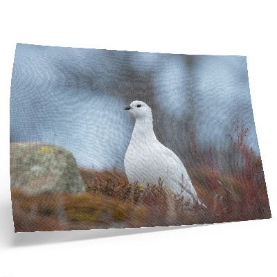 Poster Um pássaro branco em um cenário de inverno.