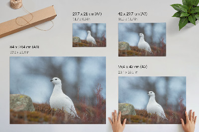 Poster Um pássaro branco em um cenário de inverno.