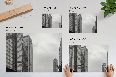 Poster em tela Arranha-céus monocromáticos de uma cidade moderna