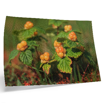 Poster mural Folhas verdes, frutos alaranjados, charme natural