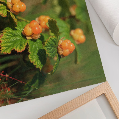 Poster mural Folhas verdes, frutos alaranjados, charme natural