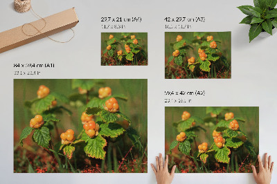 Poster mural Folhas verdes, frutos alaranjados, charme natural