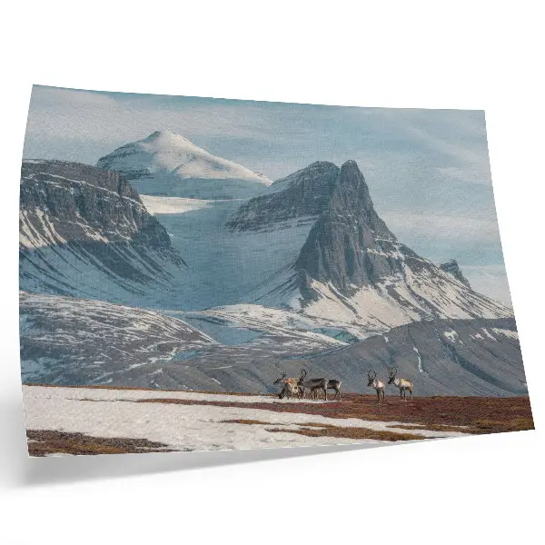 Poster em tela montanhas pitorescas com renas em paisagem de inverno