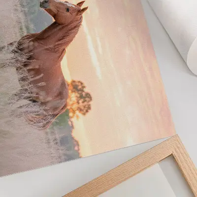 Poster mural cavalo no prado pela manhã com tons pastel para relaxamento