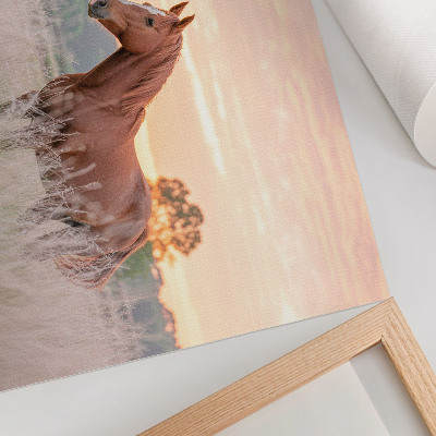Poster mural Cavalo no prado pela manhã, cores pastel, relaxamento.