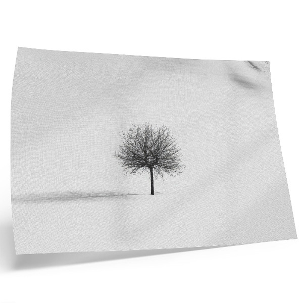 Poster em tela Paisagem minimalista de inverno com árvores em harmonia.