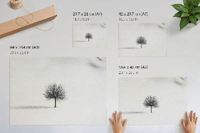 Poster em tela Paisagem minimalista de inverno com árvores em harmonia.