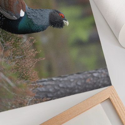 Poster para a sala Cores dos pássaros, floresta, natureza, atmosfera pacífica