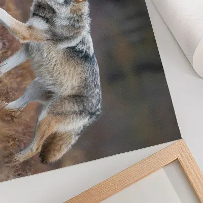 Poster para sala lobo em movimento em paisagem de natureza selvagem