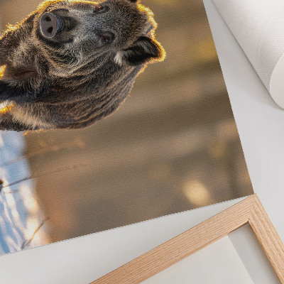Poster em tela Um javali em um cenário de inverno, banhado pela luz do sol.