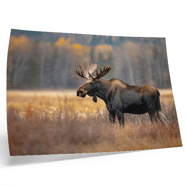 Poster para a sala Alce, paisagem outonal, harmonia, natureza selvagem.