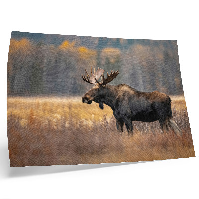Poster para a sala Alce, paisagem outonal, harmonia, natureza selvagem.