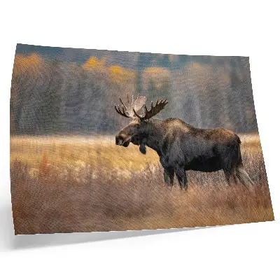 Poster para sala com estampa de alce em paisagem outonal que traz harmonia e natureza selvagem