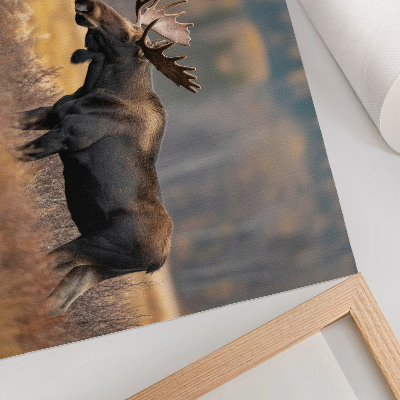 Poster para a sala Alce, paisagem outonal, harmonia, natureza selvagem.