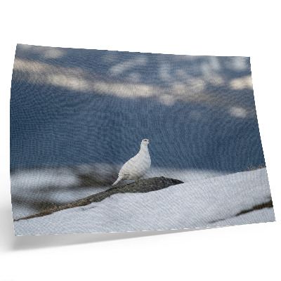 Poster em tela Pássaro na neve, paisagem invernal, delicadeza