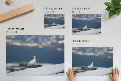 Poster em tela pássaro na neve com paisagem invernal delicada